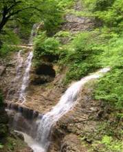 Гуамское ущелье - ущелье реки Курджипс, расположенное на участке между поселками Мезмай и Гуамка Апшеронского района