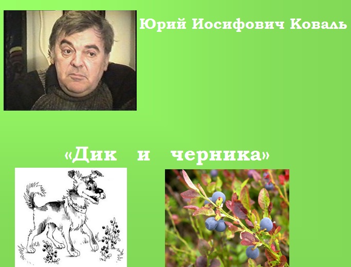 Юрий Коваль «Дик и черника» 1 класс презентация для 1 класса скачать бесплатно