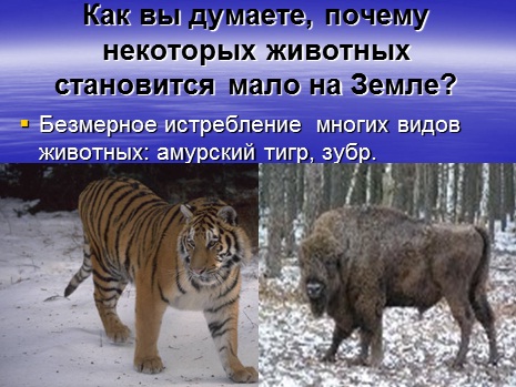 животные красной кнги