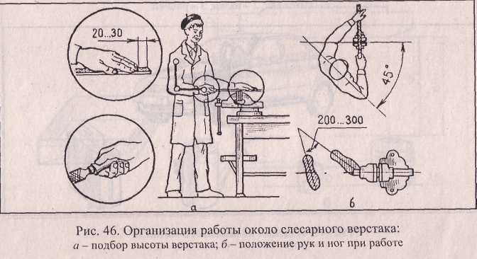 Организация работы около слесарного верстака: подбор высоты верстака, положение рук и ног при работе