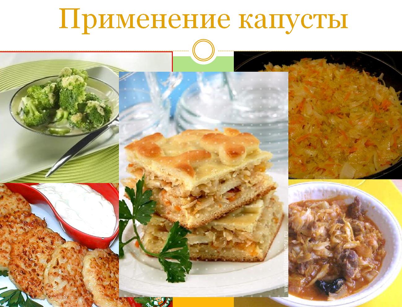 Презентация по биологии. Конспект урока. Применение капусты в блюдах