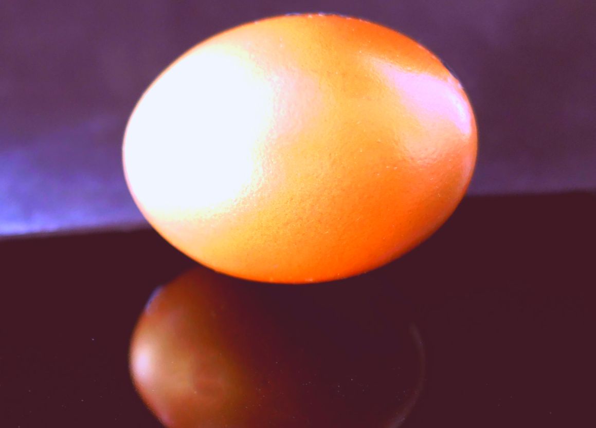 Яйцо отражение - Сценка Сказка на День учителя в школе