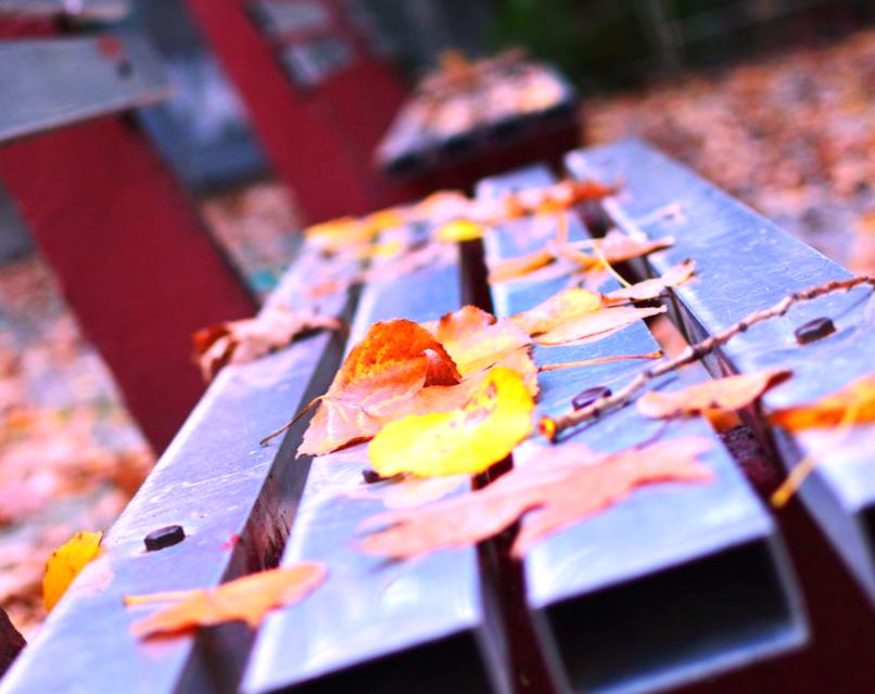 Скамейка с желтыми осенними листьями - Сценарий осеннего праздника в школе