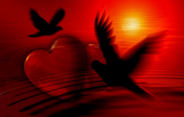 Сценарій 14 лютого - голуби серце океан та червоне сонце